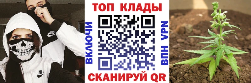 Купить наркоту Ижевск АМФЕТАМИН  Мефедрон  A-PVP  Канабис  COCAIN 