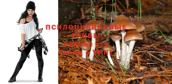 MDMA Алексеевка