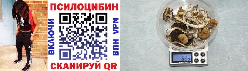 mega ТОР  Ижевск  Псилоцибиновые грибы ЛСД 